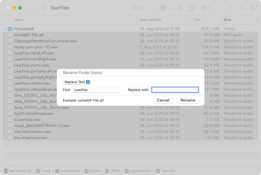 Screenshot of the Batch Renaming from within Finder with a set of test files from Lippo