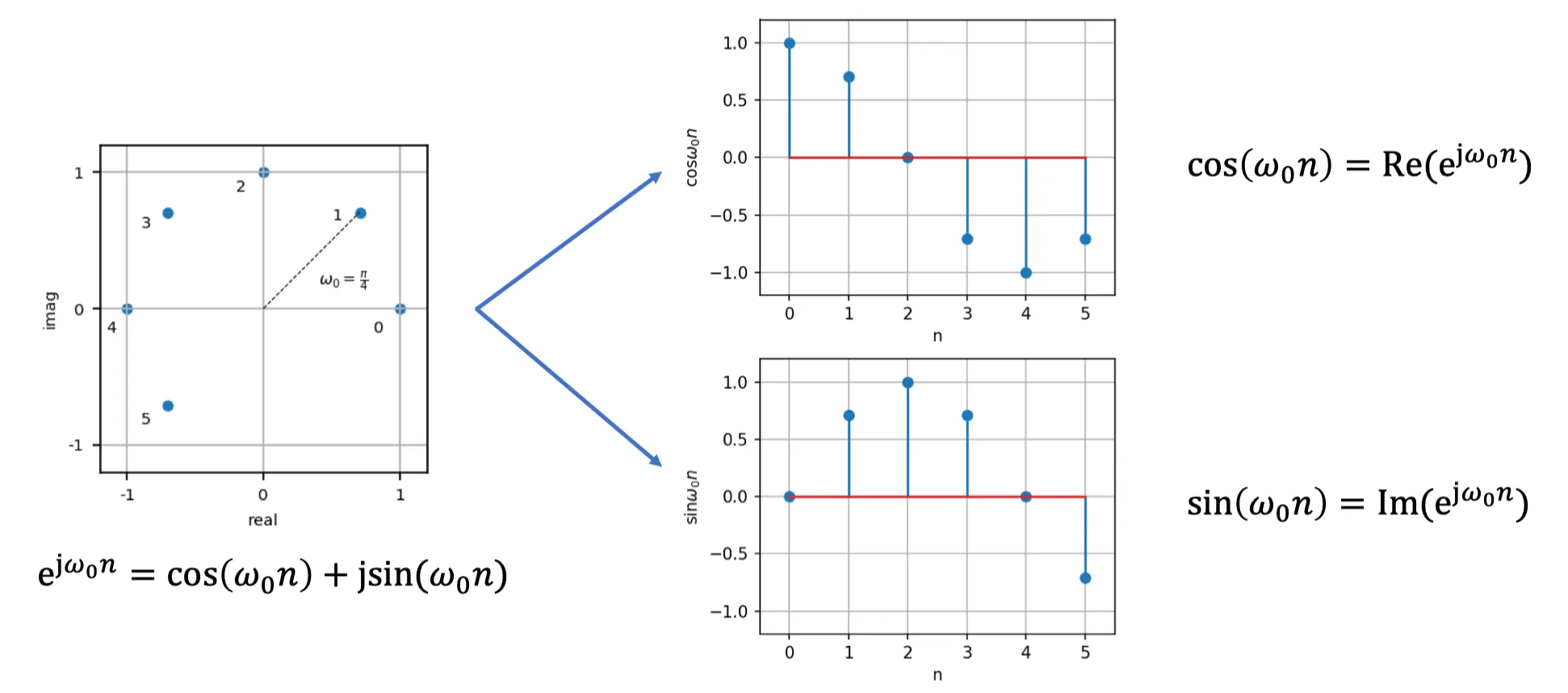 Komplexe Exponentialfolge
